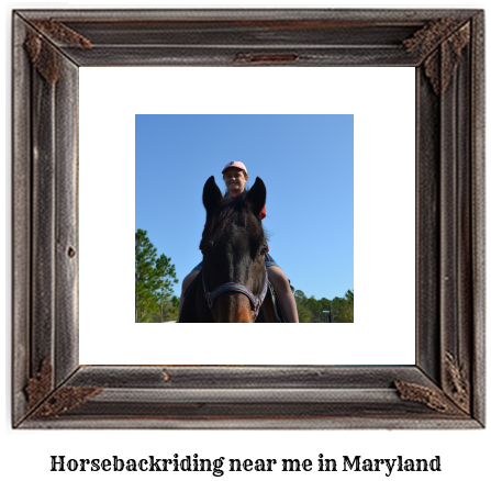 horseback riding Maryland